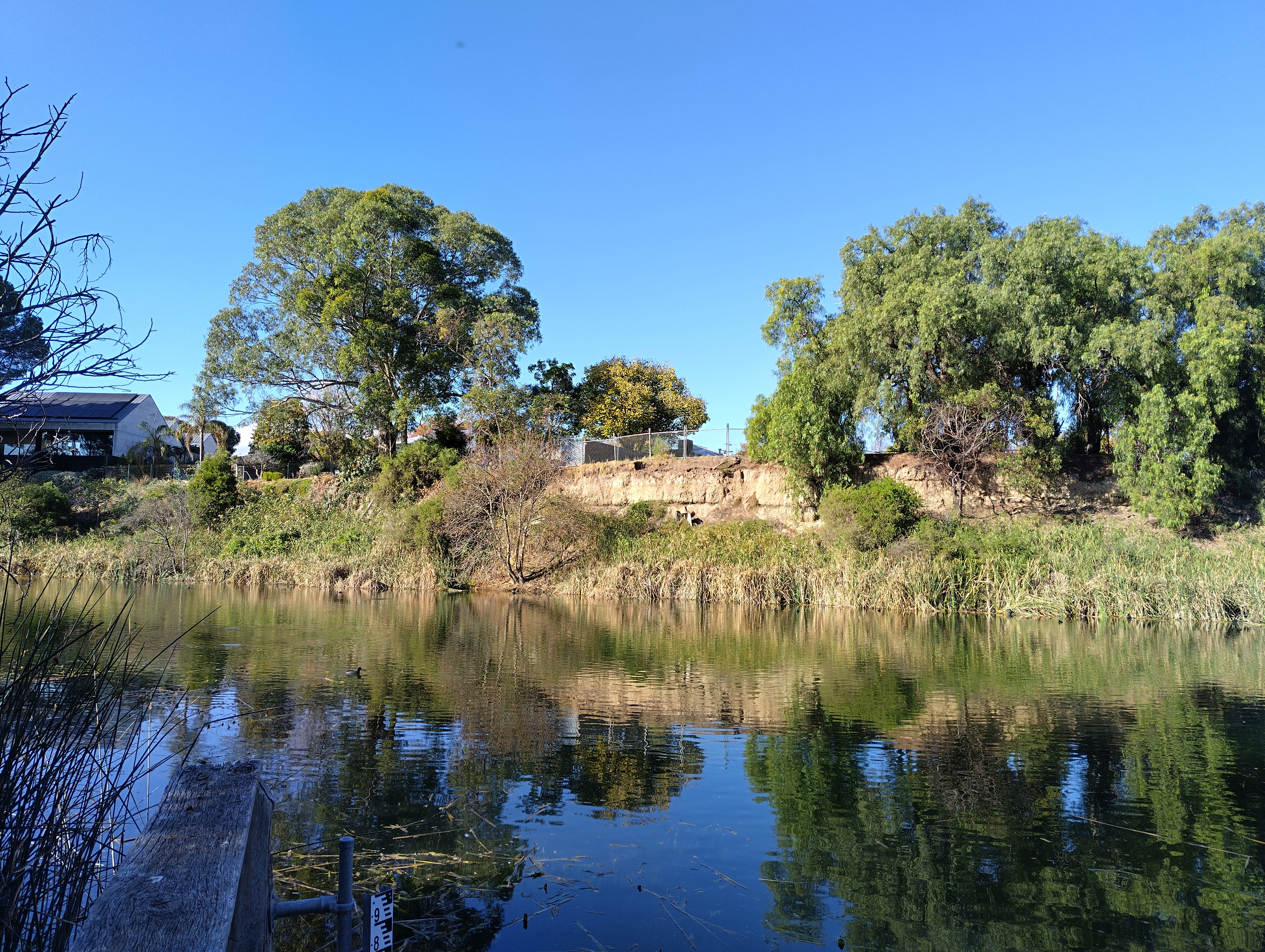 photograph of bank erosion behind Eighth Avenue